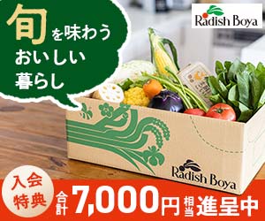らでぃっしゅぼーや ふぞろい食材おためしセットの商品画像